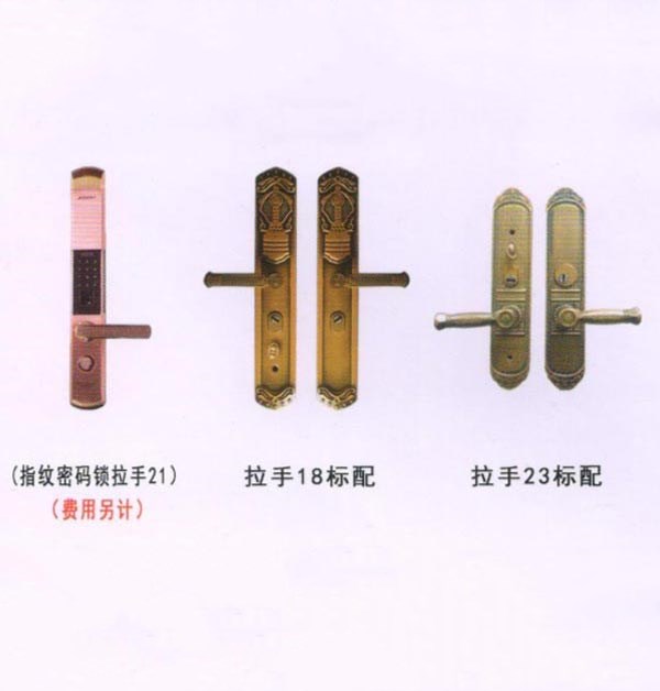 ��ѡ����